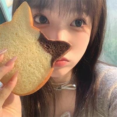 鼠洞里的好朋友